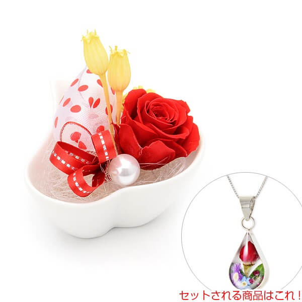 お花ソムリエ フラワー Candy Flower シルバーネックレス プリザーブドフラワー セット PF-0027-RE-MP02