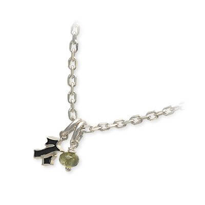 Dignest シルバーネックレス DIO-N02-GT