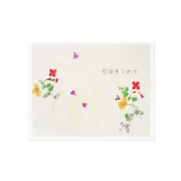 Hallmark 感謝(花さらり) EAP-462-260