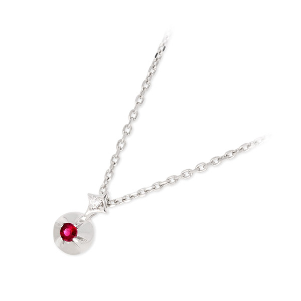 PINKY&DIANNE シルバーネックレス VPCPD51677