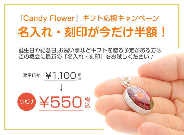 Candy Flower キャンペーン