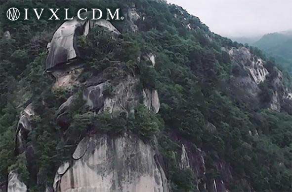 IVXLCDM