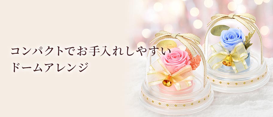 ドームアレンジ