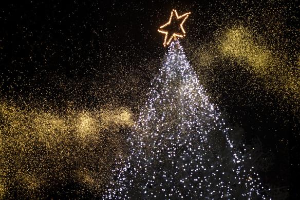 【カップルから夫婦へ】クリスマスのプロポーズを成功させる方法|クリスマスプレゼント|