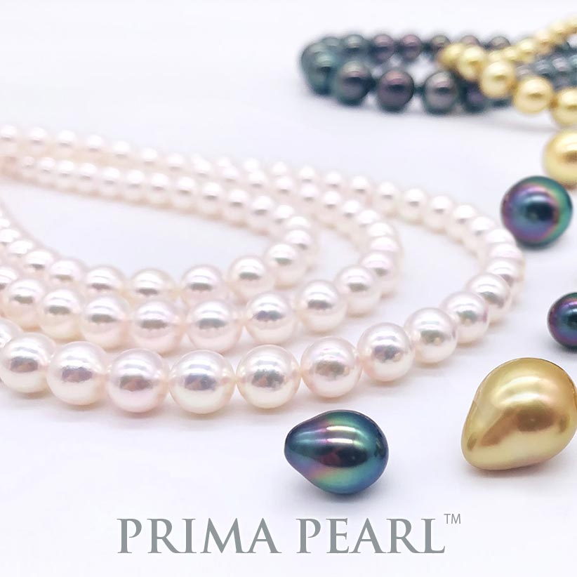 PRIMA PEARL(プリマパール)