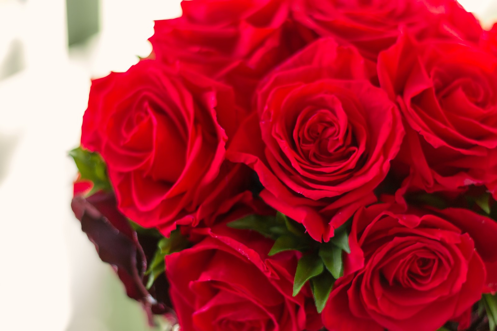 ロマンチックな真っ赤なバラの花束には「愛しています」のキモチを込めて