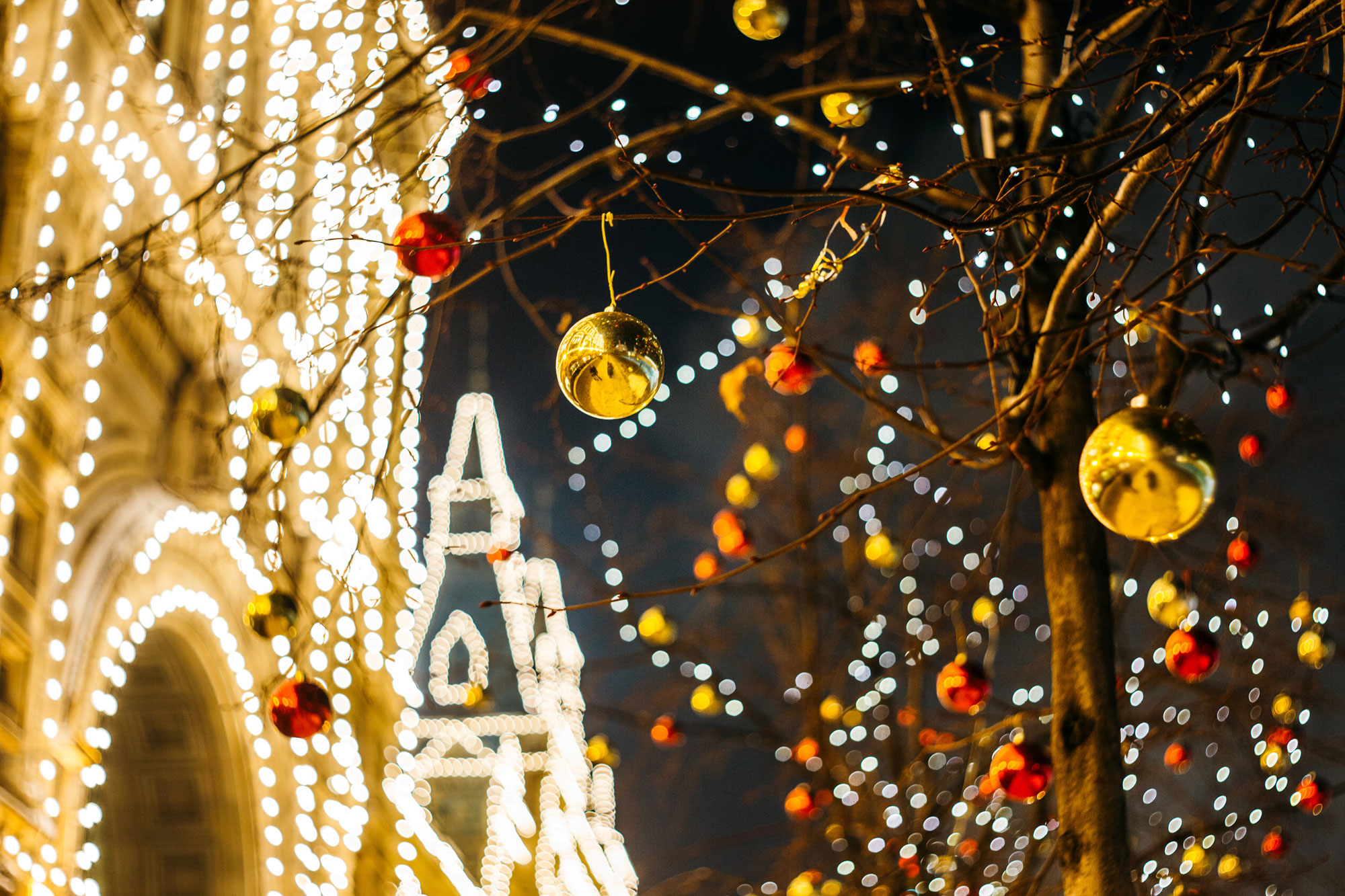 彼女にとっても、あなたにとっても一生に一度の特別なディズニーでのクリスマスデートが成功しますように…