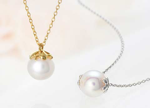 フレッシャーズ特集