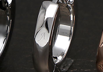 LION HEART シルバーピアス 商品の魅力1