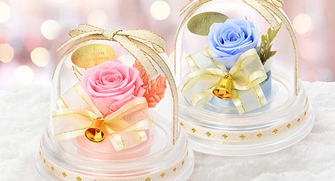 ドームアレンジ